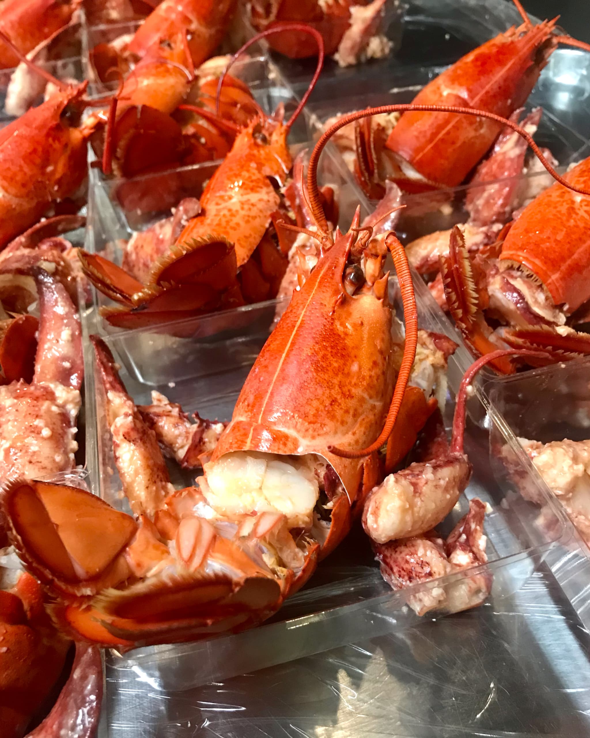 レストランメニュー