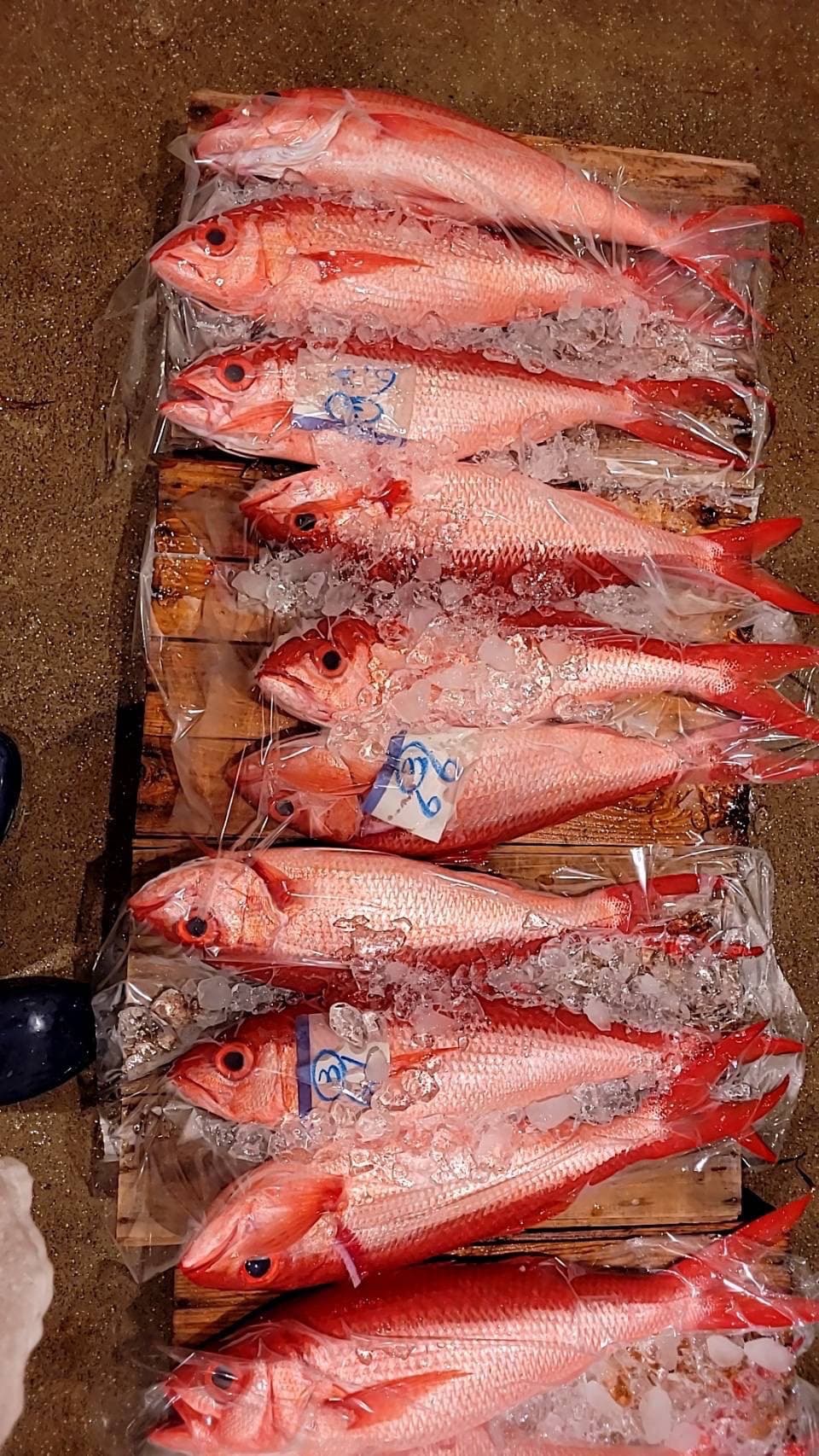 レストランメニュー